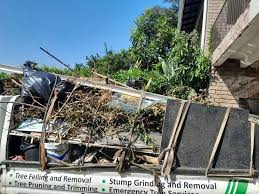 Best Attic Cleanout  in Guernsey, WY